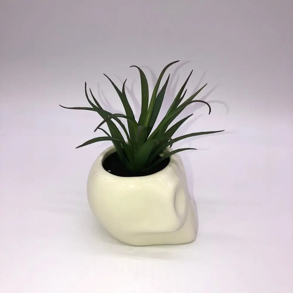 New Target Hyde & Eek 2020 Halloween Skull Planter Faux Succulent Plant